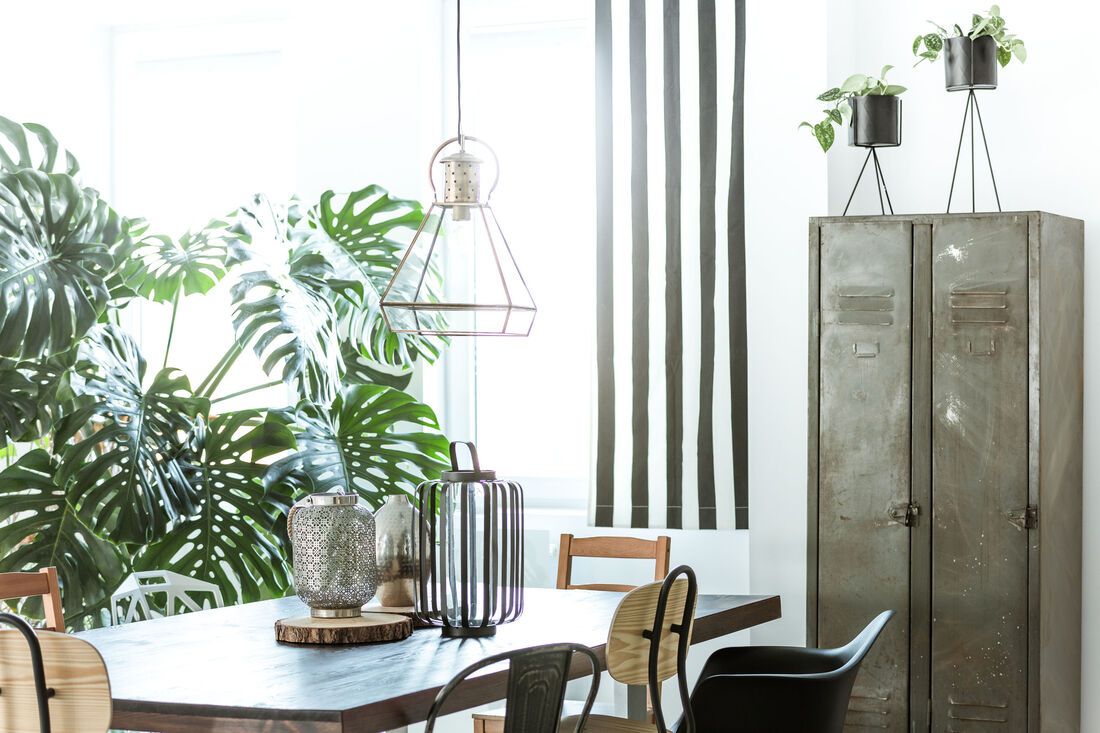 5 Reasons To Decorate Your Condo With Plants